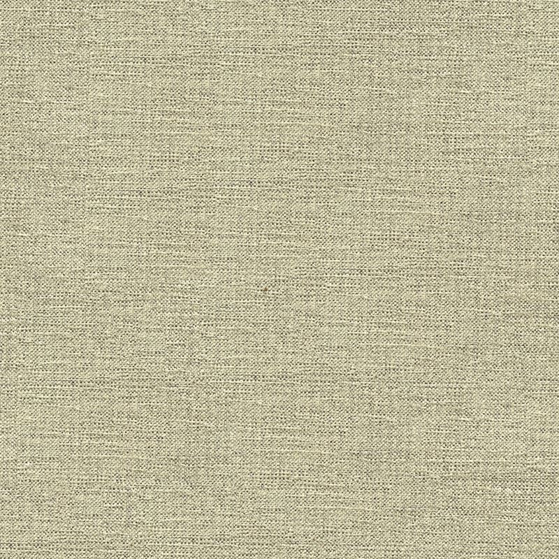 33876.1611 by Kravet Contract Designer Fabric Crypton Incase Rayon 72%, Polyester 28% USA Heavy Horizontal: see sample and Vertical: see sample 55 inches - Swanky Fabrics -