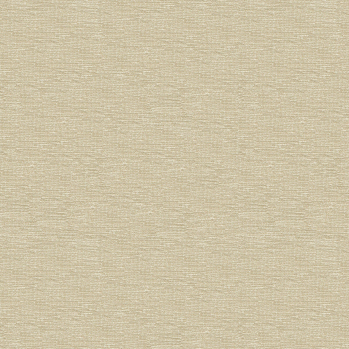 Kravet Contract 33876-1001 by Kravet Contract Fabric Kravet Contract Fabric Kravet Contract 33876-1001Fabric CRYPTON INCASE RAYON - 72%;POLYESTER - 28% United States </p><p>Repeat: H: , V: 55 - Fabric Carolina -