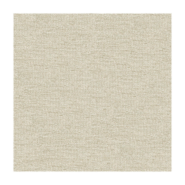 33876-1601 by Kravet Contract Designer Fabric CRYPTON INCASE RAYON - 72%;POLYESTER - 28% United States HEAVY Horizontal: and Vertical: 55 - Swanky Fabrics -
