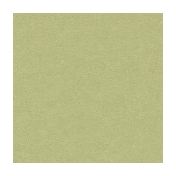 33886-1110 by Kravet Couture Designer Fabric - COTTON - 61%;SILK - 39% India - Horizontal: - and Vertical: - 55 - Swanky Fabrics -