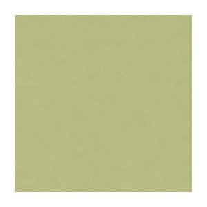Kravet Fabric 33886-1110
