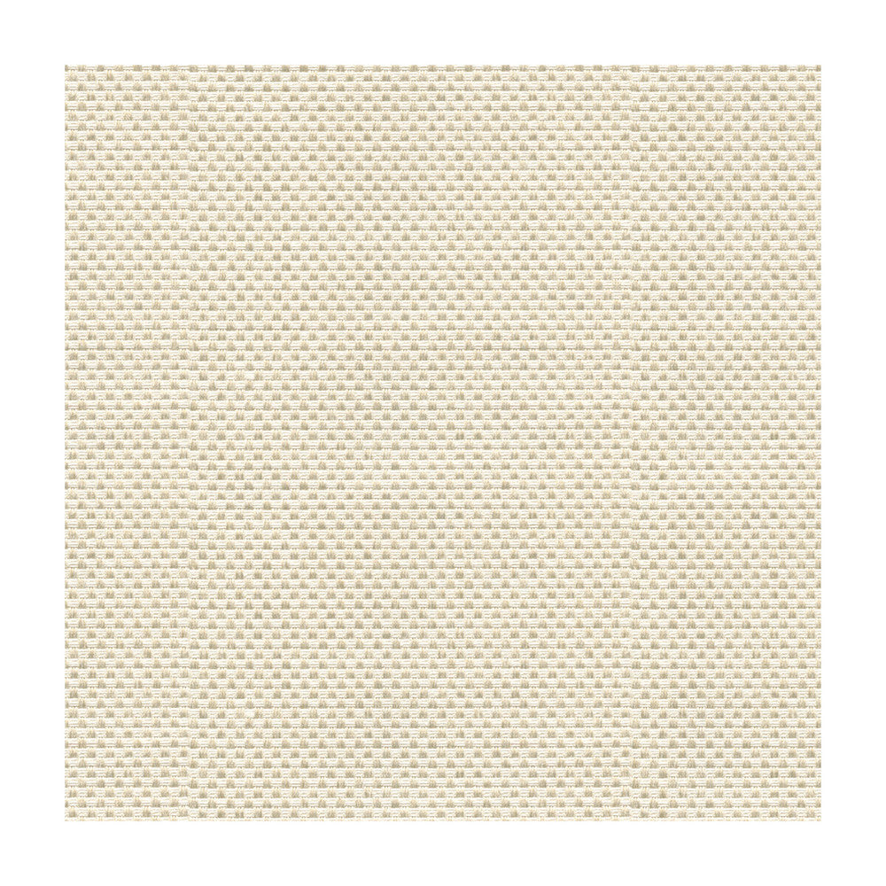 Sener Ivory by Kravet Design Designer Fabric CONSTANTINOPLE POLYESTER - 76%;COTTON - 24% Turkey HEAVY Horizontal: - and Vertical: - 55 - Swanky Fabrics -