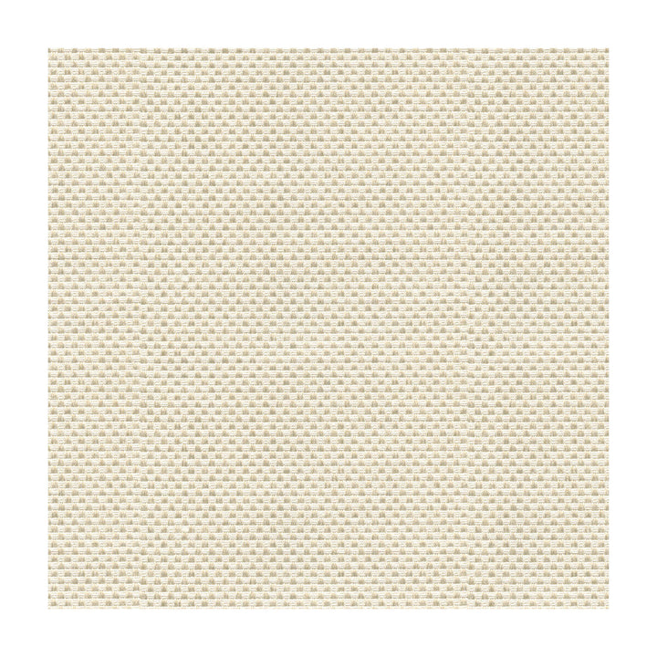 Sener Ivory by Kravet Design Designer Fabric CONSTANTINOPLE POLYESTER - 76%;COTTON - 24% Turkey HEAVY Horizontal: and Vertical: 55 - Swanky Fabrics -