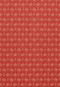 Schumacher Fabric Ashley Lattice Coral 3390043