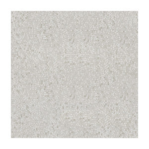 Kravet Fabric Dazzling Haute Pumice