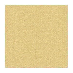 Kravet Fabric Split Decision Marzipan