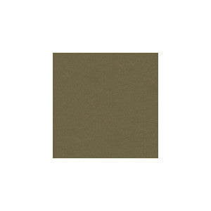 Kravet Fabric Iva Mushroom