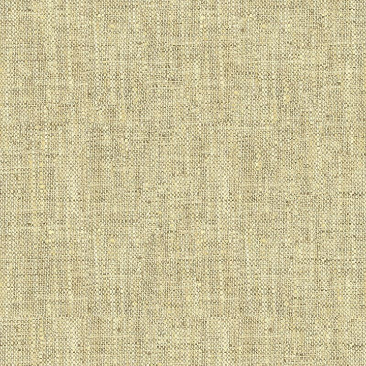 34083.1611 by Kravet Basics Designer Fabric our website for purchase Polyester 100% India Heavy Horizontal: see sample and Vertical: see sample 54 inches - Swanky Fabrics -