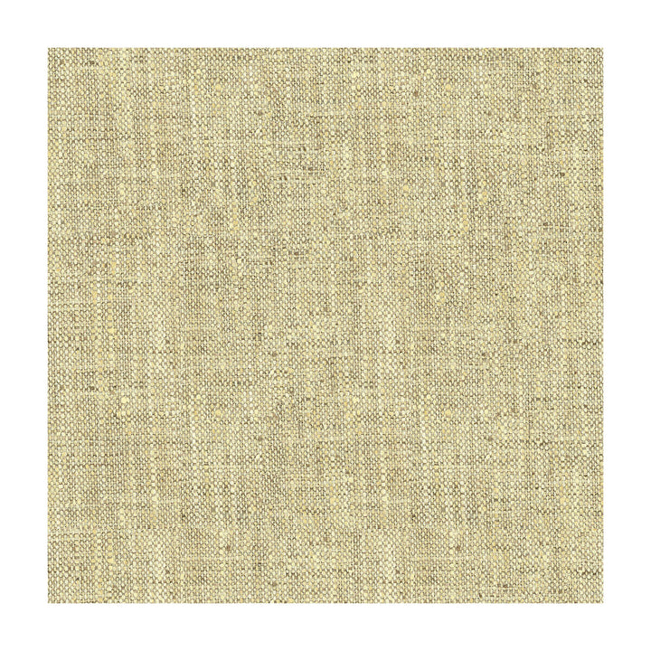 34083-1611 by Kravet Basics Designer Fabric POLYESTER - 100% India HEAVY Horizontal: and Vertical: 54 - Swanky Fabrics -