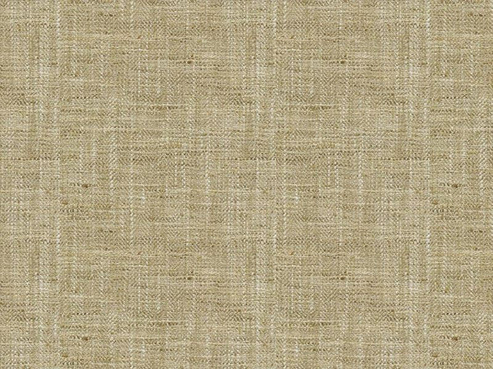 34088.611 by Kravet Basics Designer Fabric our website for purchase Polyester 100% India Heavy Horizontal: see sample and Vertical: see sample 54 inches - Swanky Fabrics -