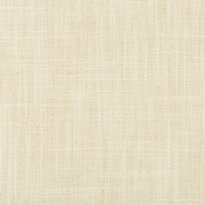 34088-116 by Kravet Basics Designer Fabric POLYESTER - 100% India HEAVY Horizontal: and Vertical: 54 - Swanky Fabrics -