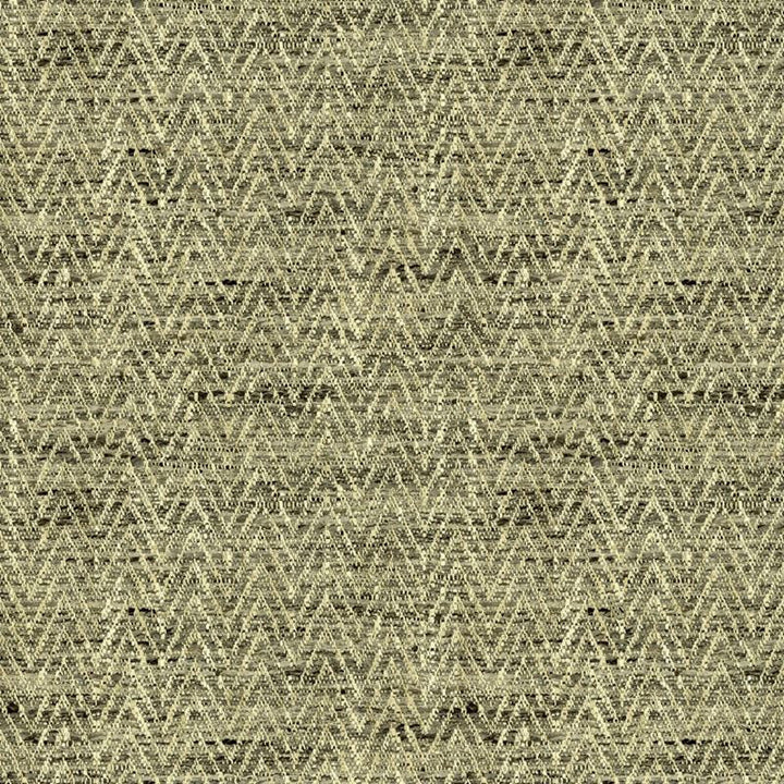 34092.1611 by Kravet Basics Designer Fabric in our sample Polyester 100% India Heavy Horizontal: See Sample and Vertical: See Sample 54 inches - Swanky Fabrics -