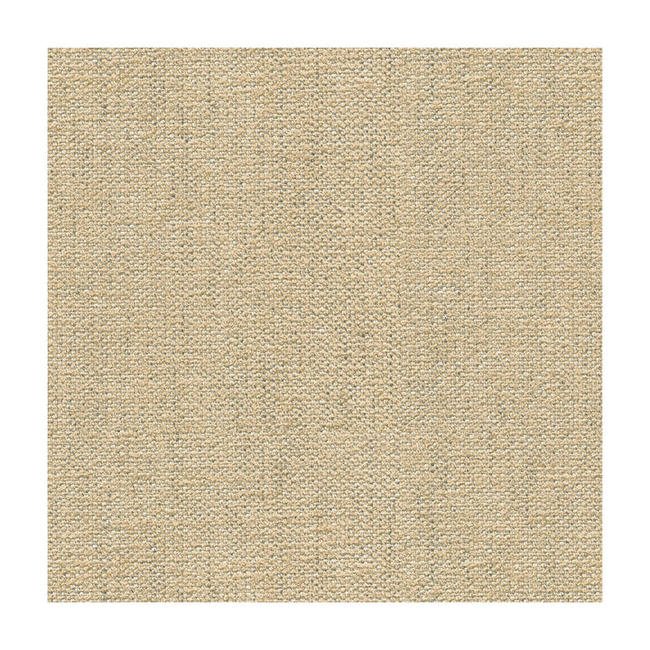Briggs Linen by Kravet Design Designer Fabric CANDICE OLSON COLLECTION VISCOSE - 58%;POLYESTER - 30%;LINEN - 12% Italy MEDIUM Horizontal: - and Vertical: - 55 - Swanky Fabrics -