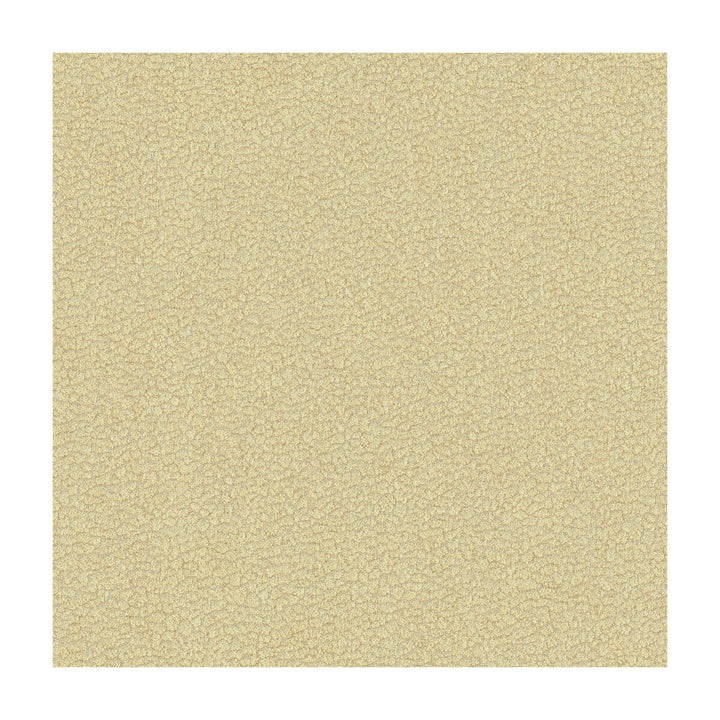 Jatoba Oyster by Kravet Design Designer Fabric CANDICE OLSON COLLECTION POLYESTER - 100% India HEAVY Horizontal: 4.5 and Vertical: 2.5 54 - Swanky Fabrics -