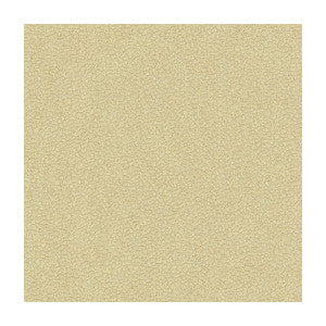 Kravet Fabric Jatoba Oyster