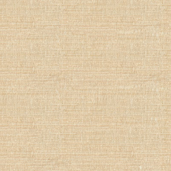 34191.1116 by Kravet Smart Designer Fabric our website for purchase Polyester 100% China Heavy Horizontal: see sample and Vertical: see sample 56 inches - Swanky Fabrics -