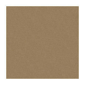 Kravet Fabric 34205-1110