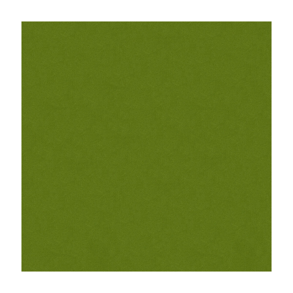 34205-3 by Kravet Design Designer Fabric - COTTON - 93%;POLYESTER - 7% Turkey HEAVY Horizontal: - and Vertical: - 54 - Swanky Fabrics -