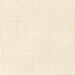 Kravet Fabric 34210-1