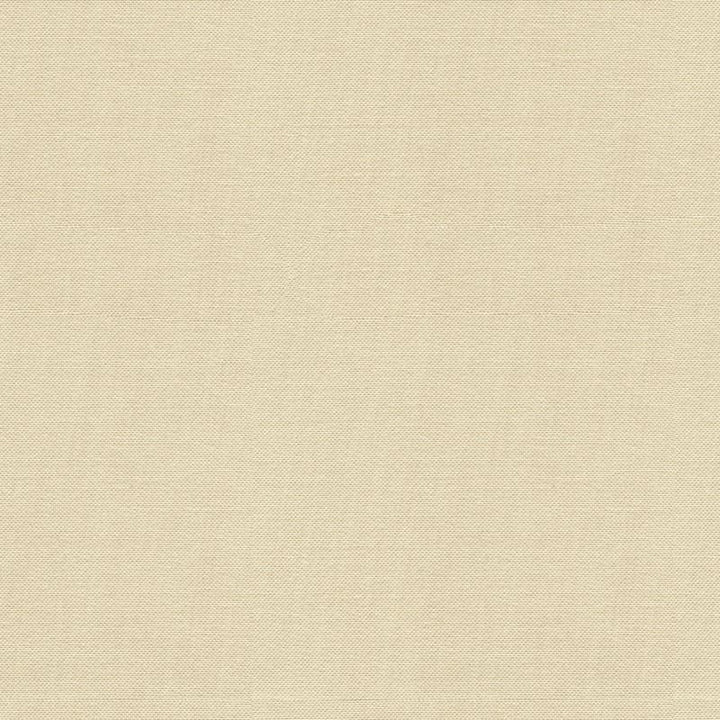 34221.1116 by Kravet Design Designer Fabric in our sample Solution Dyed Acrylic 100% USA Heavy Horizontal: See Sample and Vertical: See Sample 54 inches - Swanky Fabrics -