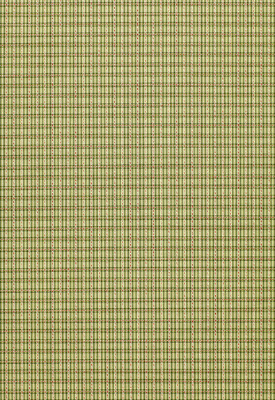 Henson Check Basil 3427001 by Schumacher Designer Fabric - 84% Cotton, 16% Viscose Martindale 8,000 Horizontal: 1 and Vertical: 3/4- 55 - Swanky Fabrics -
