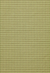 Schumacher Fabric Henson Check Basil 3427001
