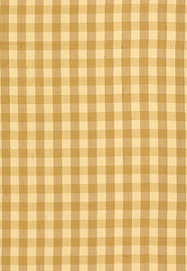 Schumacher Fabric Inglebury Silk Check Coin 3439001