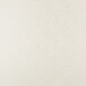 Kravet Fabric 34412-1