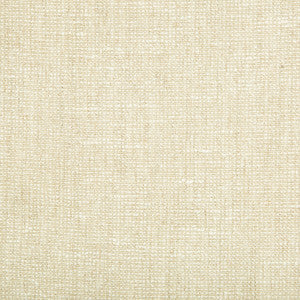 Kravet Fabric Skiffle Stone