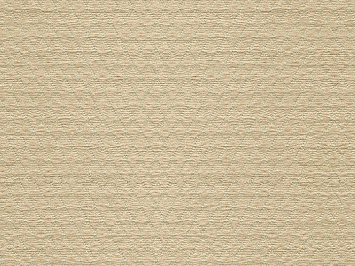 34475.116 by Kravet Smart Designer Fabric our website for purchase Polyester 100% China Heavy Horizontal: see sample and Vertical: see sample 54 inches - Swanky Fabrics -