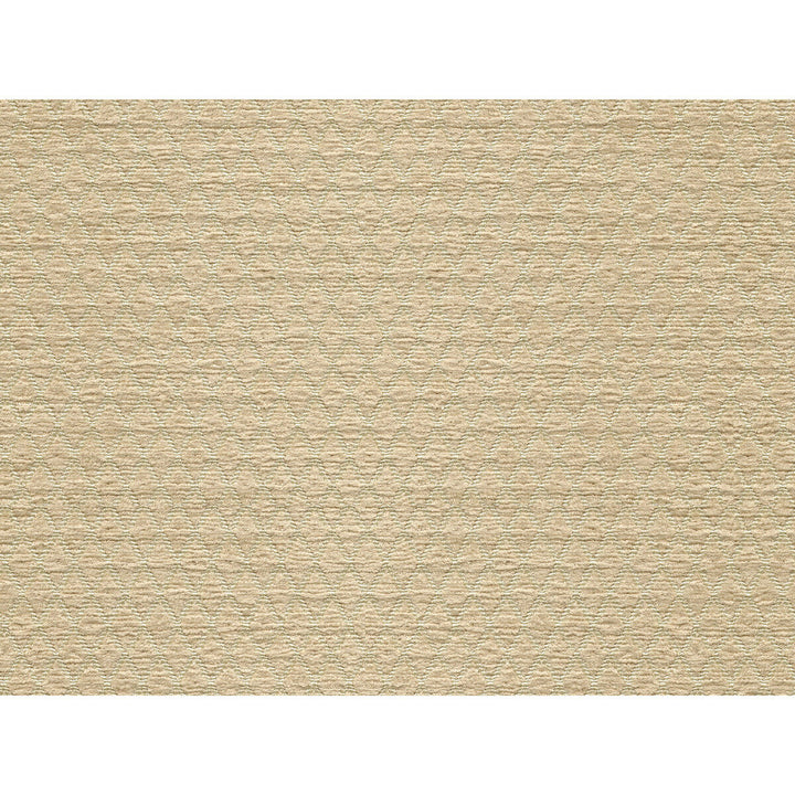 34475-116 by Kravet Smart Designer Fabric POLYESTER - 100% China HEAVY Horizontal: and Vertical: 54 - Swanky Fabrics -