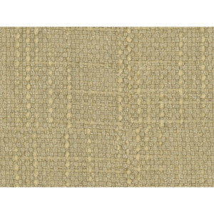 Kravet Fabric Conceptual Chardonnay