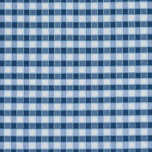 Schumacher Fabric Ingrid Silk Check Blue 3453004