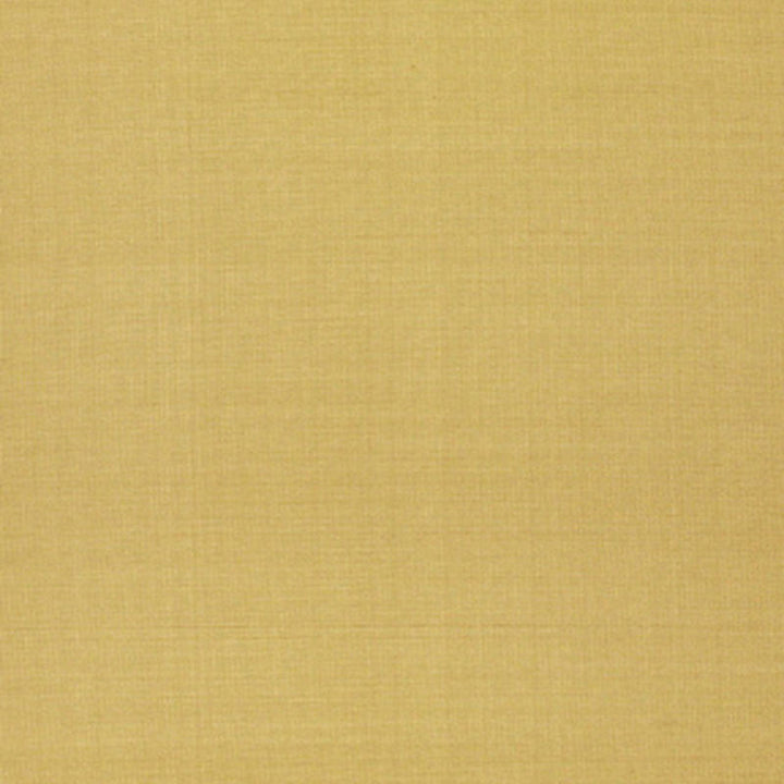 Anniston Silk Taffeta Reed 3462003 by Schumacher Fabric Schumacher Fabric Anniston Silk Taffeta Reed 3462003Fabric SILK 100% CHINA </p><p>Repeat: H: , V: 54 - Fabric Carolina -