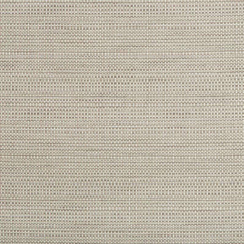 34627.11 by Kravet Smart Designer Fabric in our sample Polyester 58%, Cotton 22%, Rayon 20% USA Heavy Horizontal: See Sample and Vertical: See Sample 55 inches - Swanky Fabrics -