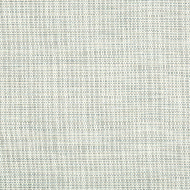 34627.1511 by Kravet Smart Designer Fabric Crypton Home Polyester 58%, Cotton 22%, Rayon 20% USA Heavy Horizontal: see sample and Vertical: see sample 55 inches - Swanky Fabrics -
