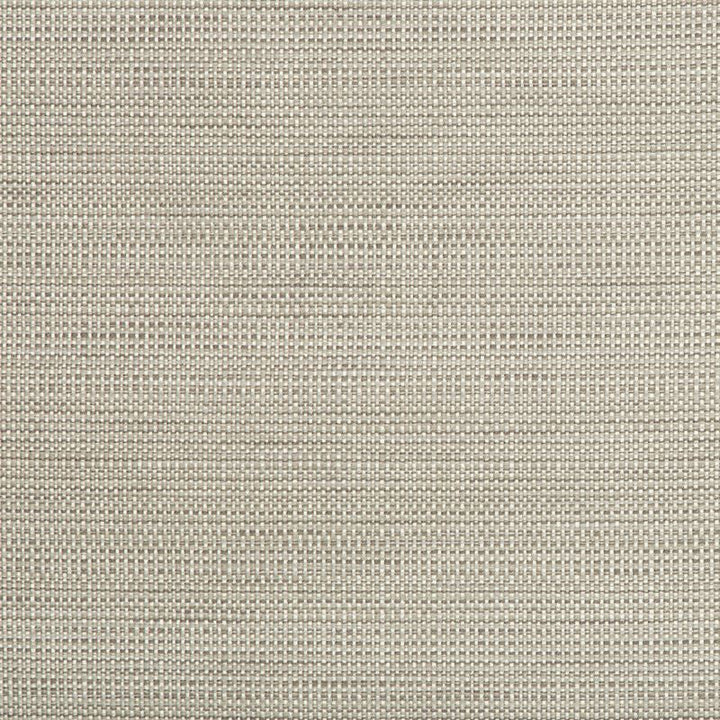 34634.11 by Kravet Contract Designer Fabric Crypton Incase Polyester 58%, Cotton 22%, Rayon 20% USA Heavy Horizontal: see sample and Vertical: see sample 55 inches - Swanky Fabrics -