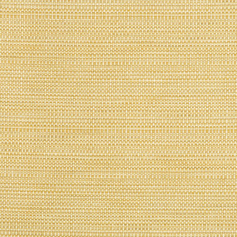 34634.416 by Kravet Contract Designer Fabric Crypton Incase Polyester 58%, Cotton 22%, Rayon 20% USA Heavy Horizontal: see sample and Vertical: see sample 55 inches - Swanky Fabrics -
