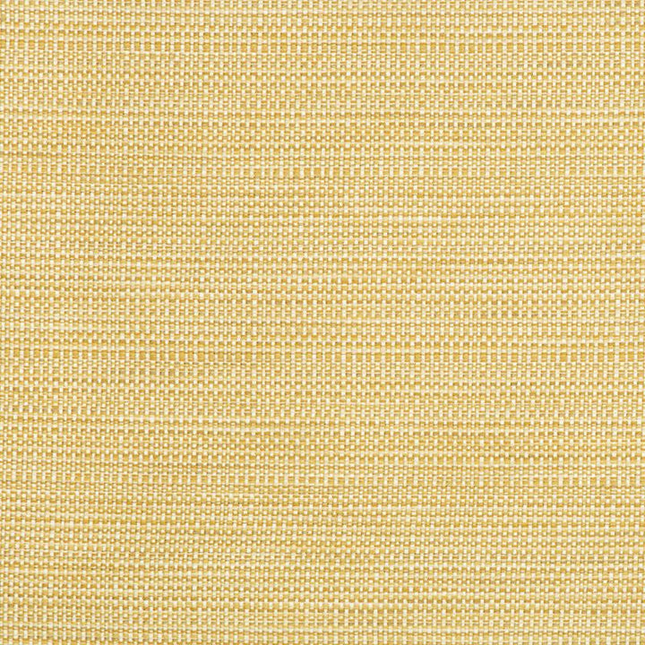 34634.416 by Kravet Contract Designer Fabric Crypton Incase Polyester 58%, Cotton 22%, Rayon 20% USA Heavy Horizontal: see sample and Vertical: see sample 55 inches - Swanky Fabrics -
