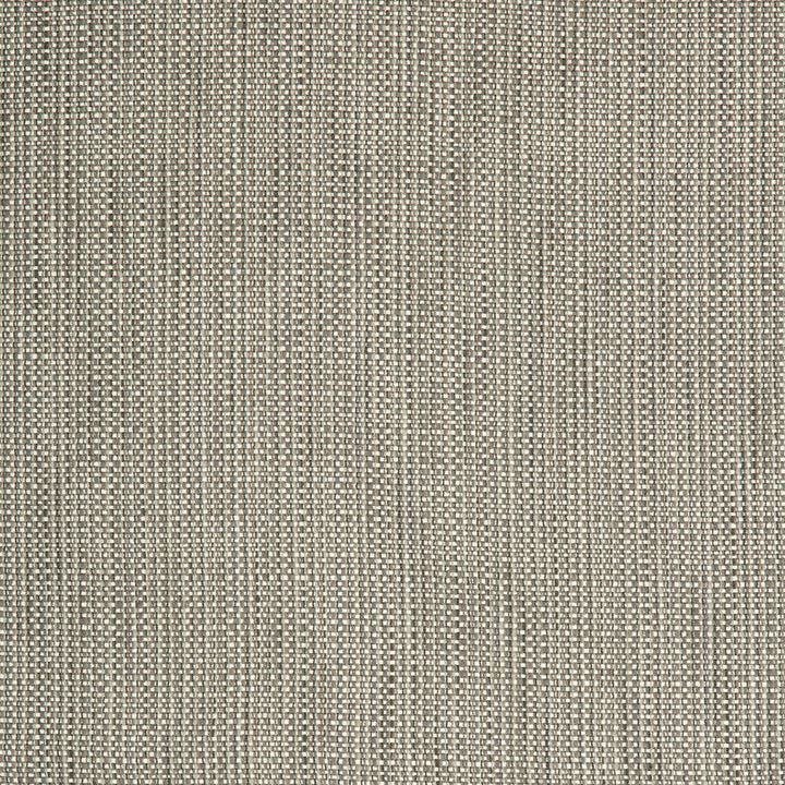 34634-21 by Kravet Contract Designer Fabric CRYPTON INCASE POLYESTER - 58%;COTTON - 22%;RAYON - 20% United States HEAVY Horizontal: 0 and Vertical: 0 55 - Swanky Fabrics -