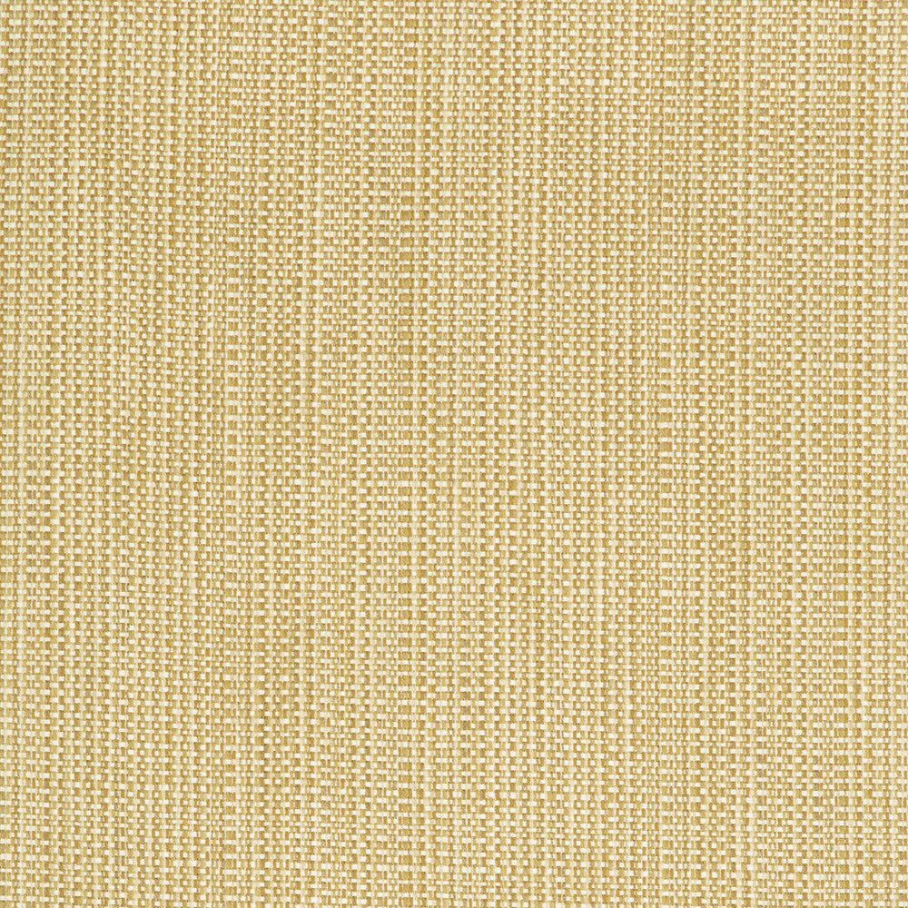 Kravet Contract 34634-416 by Kravet Contract Fabric Kravet Contract Fabric Kravet Contract 34634-416Fabric CRYPTON INCASE POLYESTER - 58%;COTTON - 22%;RAYON - 20% United States </p><p>Repeat: H: 0, V: 0 55 - Fabric Carolina -