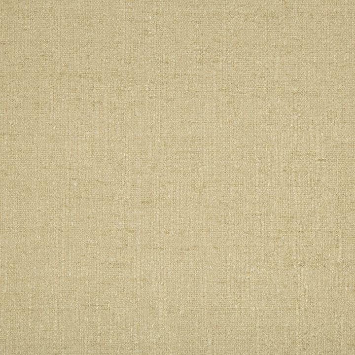 34636.16 by Kravet Contract Designer Fabric Crypton Incase Rayon 79%, Polyester 21% USA Heavy Horizontal: see sample and Vertical: see sample 58 inches - Swanky Fabrics -