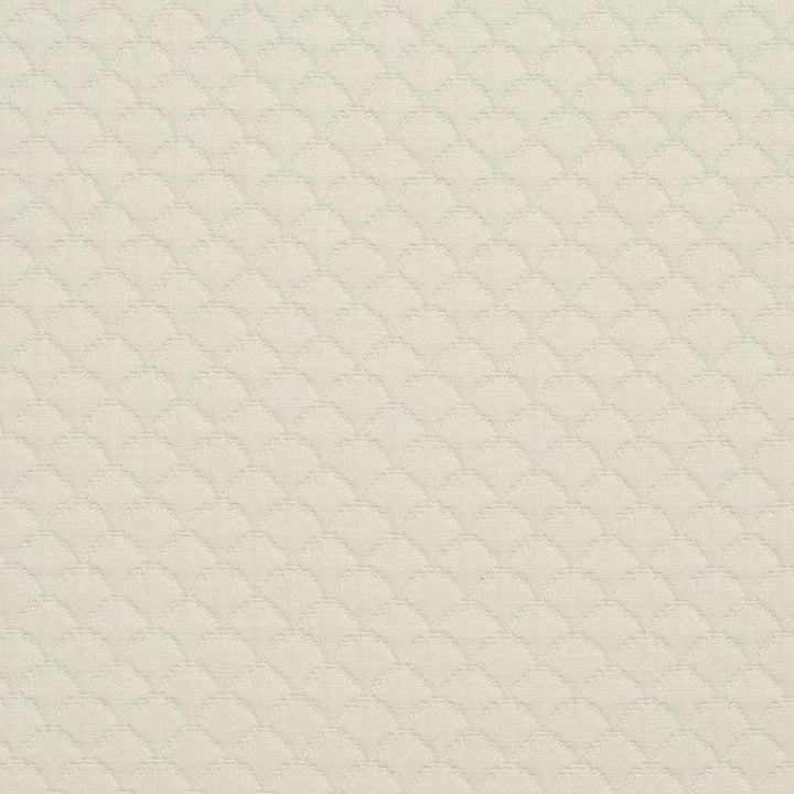3464 Shell by Charlotte Designer Fabric Naturally Naturals III 69% Cotton, 31% Polyester Asia Exceeds 60,000 Wyzenbeek Rubs (Heavy Duty) Horizontal: 3.25" x Vertical: 3.25" 54 Inches - Swanky Fabrics -