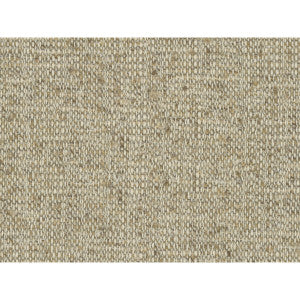Kravet Fabric Benefit Jute