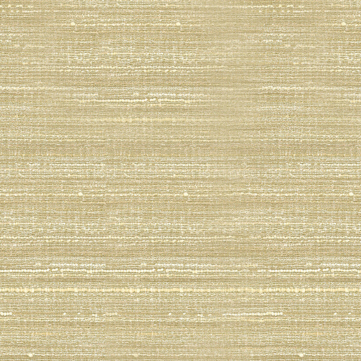 34672-116 by Kravet Basics Designer Fabric POLYESTER - 75%;VISCOSE - 25% India HEAVY Horizontal: and Vertical: 54 - Swanky Fabrics -