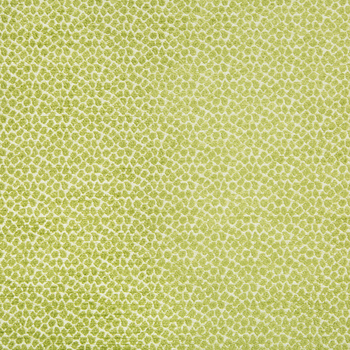 Kravet Design 34682-3 by Kravet Design Fabric Kravet Design Fabric Kravet Design 34682-3Fabric CRYPTON HOME RAYON - 56%;COTTON - 26%;POLYESTER - 18% United States </p><p>Repeat: H: 4.5, V: 1.25 55.5 - Fabric Carolina -