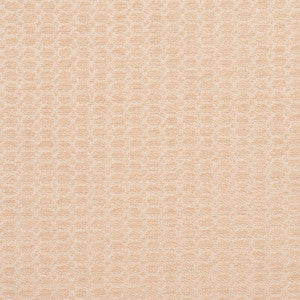 Charlotte Fabric 3472 Opal