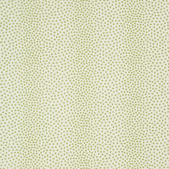 Kravet Contract 34748-13 by Kravet Contract Fabric Kravet Contract Fabric Kravet Contract 34748-13Fabric CRYPTON INCASE POLYESTER - 75%;COTTON - 25% United States </p><p>Repeat: H: 3.563, V: 9.063 55.75 - Fabric Carolina -