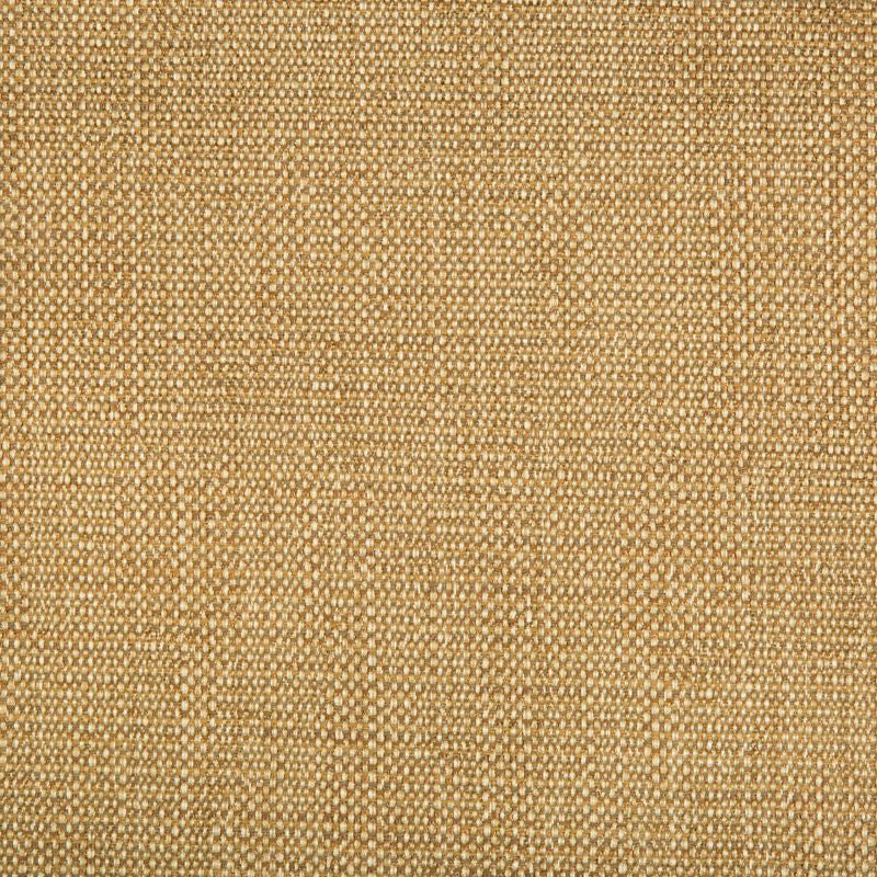 34774.616 by Kravet Design Designer Fabric Gis Rayon 78%, Cotton 21%, Nylon 1% USA Heavy Horizontal: see sample and Vertical: see sample 58 inches - Swanky Fabrics -