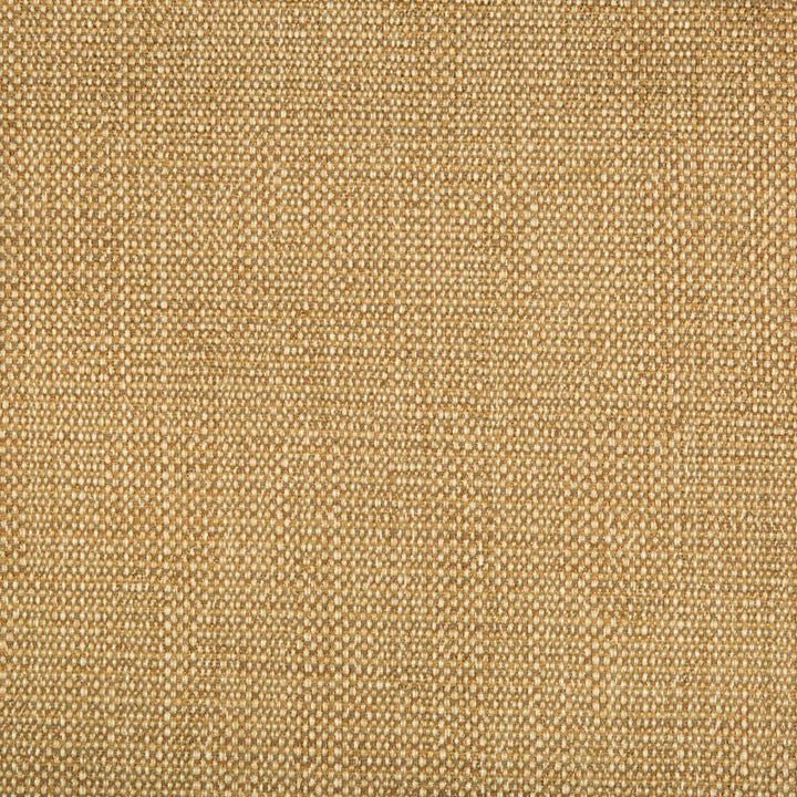 34774.616 by Kravet Design Designer Fabric in our sample Rayon 78%, Cotton 21%, Nylon 1% USA Heavy Horizontal: See Sample and Vertical: See Sample 58 inches - Swanky Fabrics -